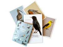 Famose Vögel - Das Paket