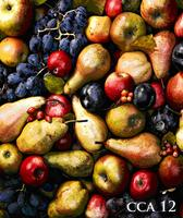 Creativ Club Austria-Annual 12