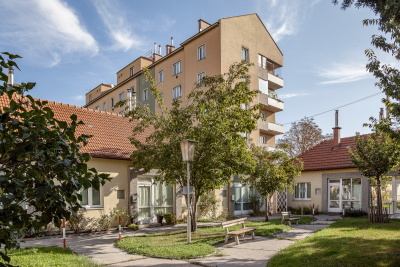 Mid-Century Vienna