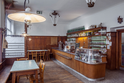 Mid-Century Vienna