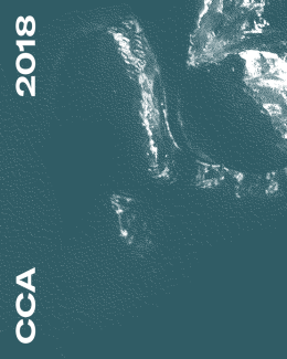 Creativ Club Austria-Annual 18