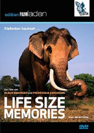 Life Size Memories